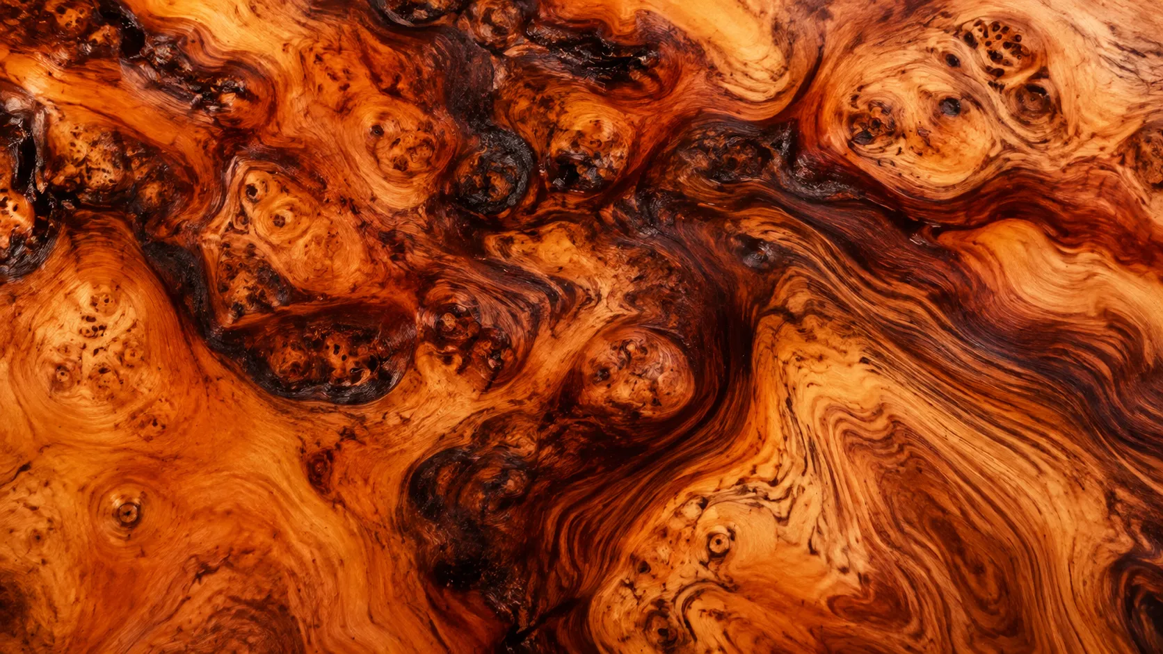 Abstract exotic wood burl background